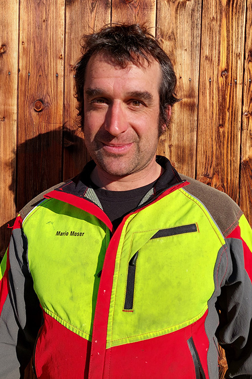 Mario Moser